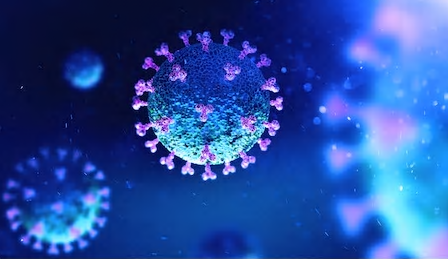Can I claim civil liability from the health authorities for personal and / or property damage suffered as a result of the Coronavirus?