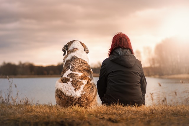 Seguro de responsabilidad civil para perros: esto es lo que debes saber