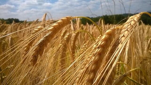 They recommend to the farmers to have an insurance of civil responsibility